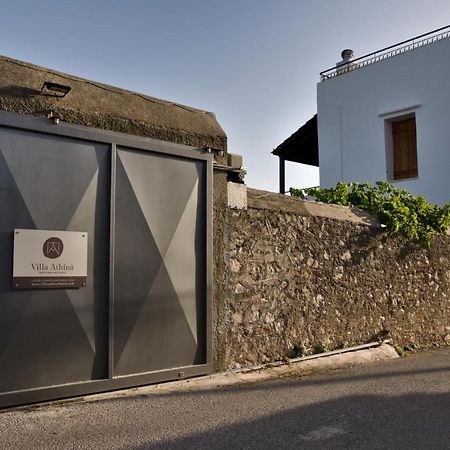 Villa Athina Megala Chorafia Exteriér fotografie