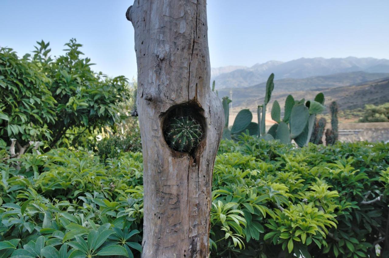 Villa Athina Megala Chorafia Exteriér fotografie